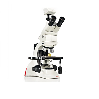 Albert Einstein can even be traced back to Abraham Lincoln